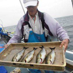 大進丸（愛知） 釣果