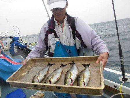 大進丸（愛知） 釣果