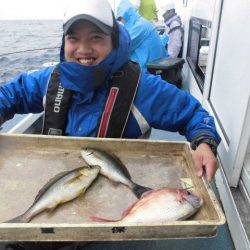 大進丸（愛知） 釣果