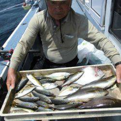 大進丸（愛知） 釣果