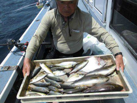 大進丸（愛知） 釣果