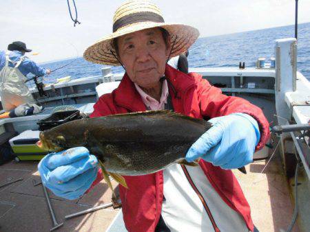 大進丸（愛知） 釣果