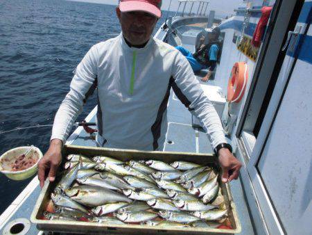 大進丸（愛知） 釣果