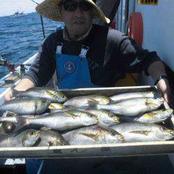 大進丸（愛知） 釣果