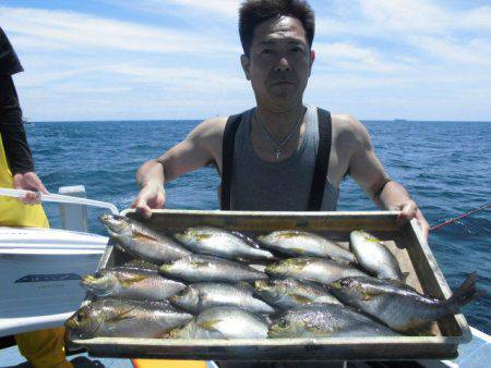 大進丸（愛知） 釣果