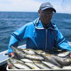 大進丸（愛知） 釣果