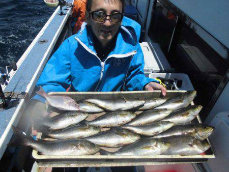 大進丸（愛知） 釣果