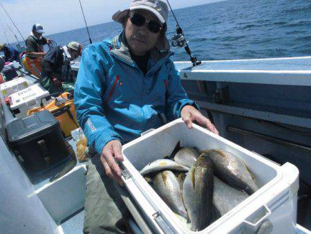 大進丸（愛知） 釣果