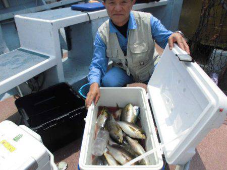 大進丸（愛知） 釣果