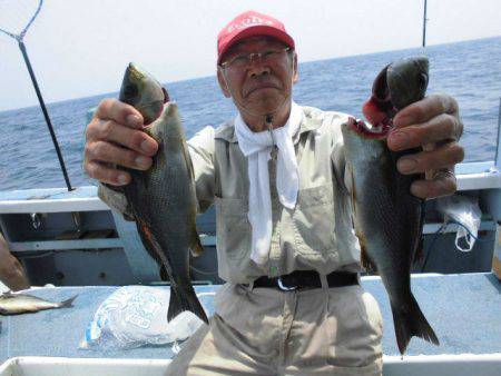 大進丸（愛知） 釣果