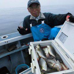 大進丸（愛知） 釣果