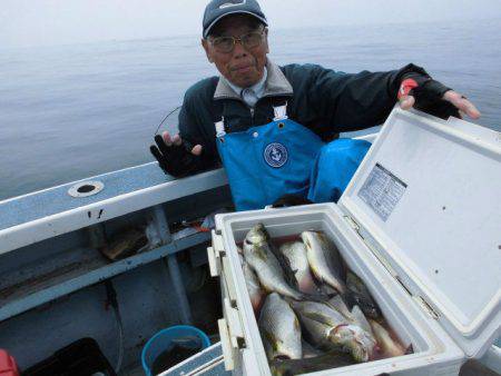 大進丸（愛知） 釣果