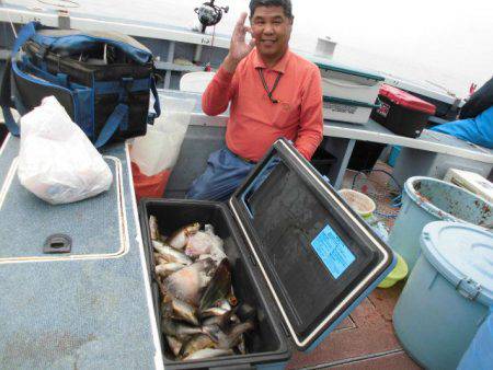 大進丸（愛知） 釣果