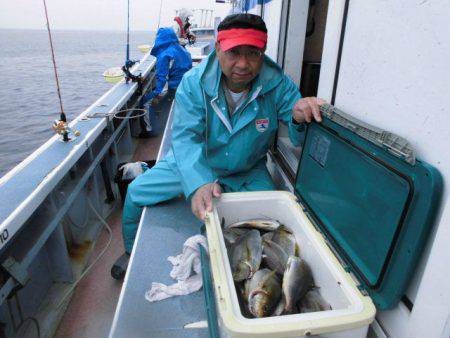 大進丸（愛知） 釣果