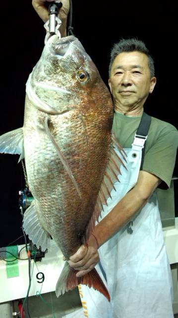 泰丸 釣果