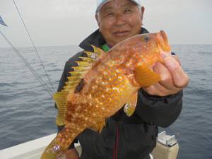 兼六丸 釣果