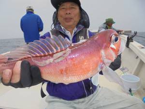 兼六丸 釣果