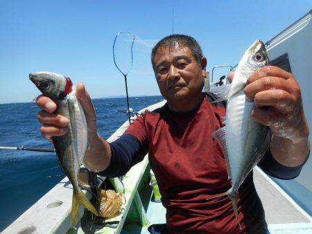 大進丸（愛知） 釣果