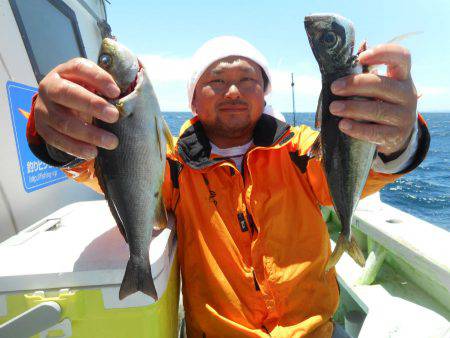 大進丸（愛知） 釣果