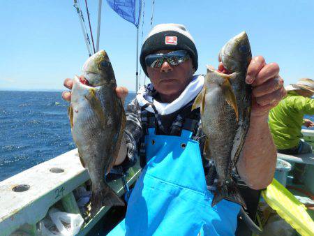 大進丸（愛知） 釣果