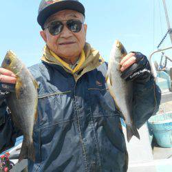 大進丸（愛知） 釣果