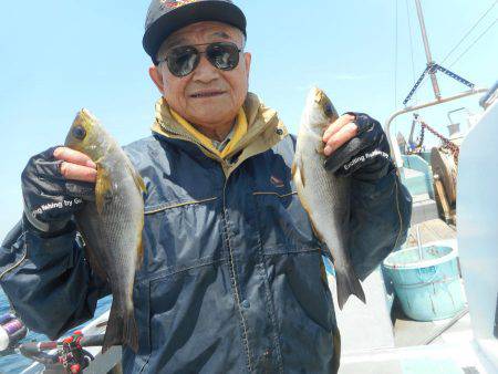 大進丸（愛知） 釣果