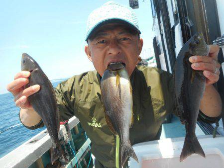 大進丸（愛知） 釣果