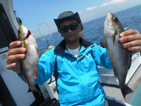 大進丸（愛知） 釣果