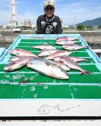 和歌山マリーナシティ釣り堀 釣果