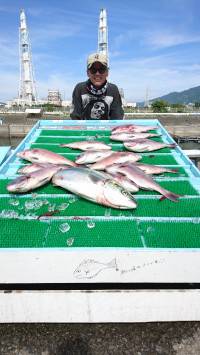 和歌山マリーナシティ釣り堀 釣果