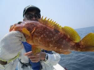 兼六丸 釣果