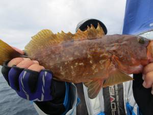 兼六丸 釣果