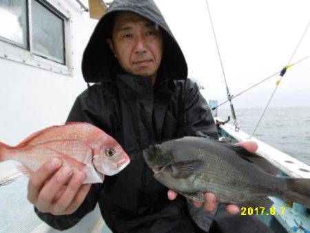 まとばや 釣果