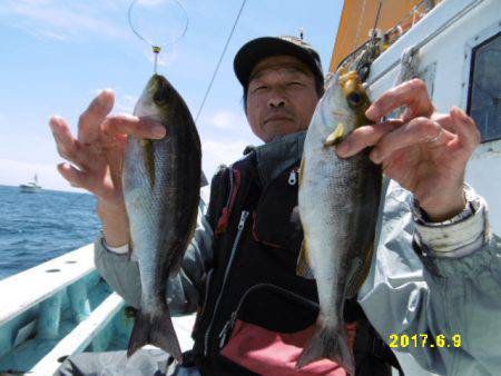 まとばや 釣果