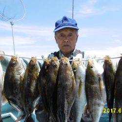 まとばや 釣果