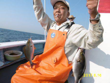 まとばや 釣果