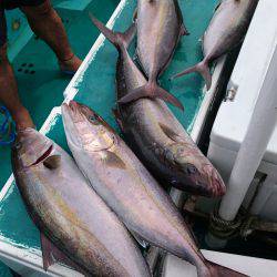 龍正丸 釣果