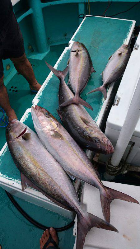 龍正丸 釣果