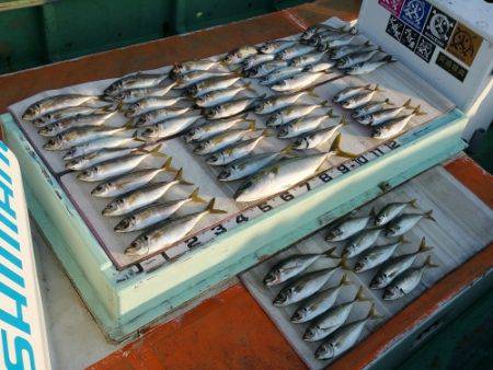 火遠理丸（ほおりまる） 釣果