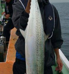 火遠理丸（ほおりまる） 釣果