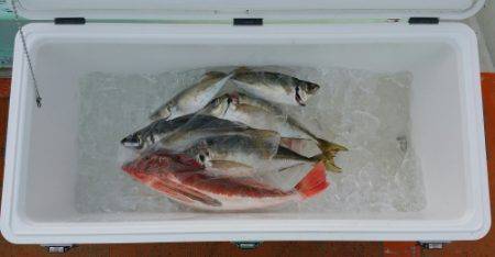 火遠理丸（ほおりまる） 釣果