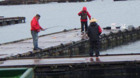 淡路じゃのひれフィッシングパーク 釣果