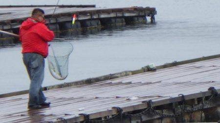 淡路じゃのひれフィッシングパーク 釣果