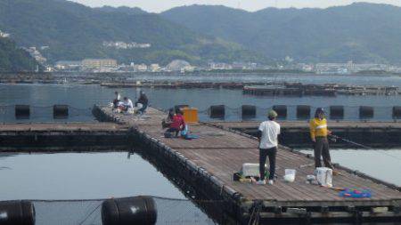 淡路じゃのひれフィッシングパーク 釣果