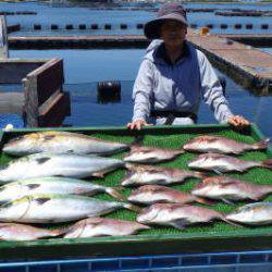 淡路じゃのひれフィッシングパーク 釣果