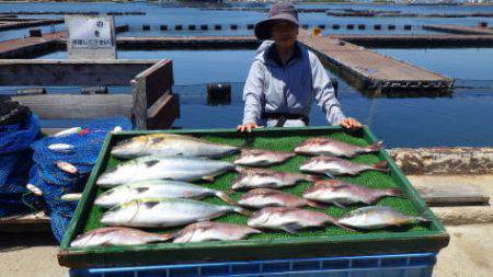 淡路じゃのひれフィッシングパーク 釣果