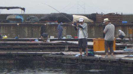 淡路じゃのひれフィッシングパーク 釣果