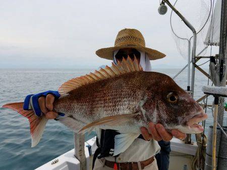 遊漁船　ニライカナイ 釣果