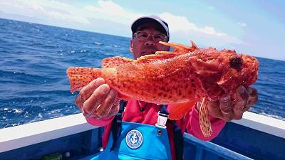 しまや丸 釣果