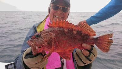 しまや丸 釣果